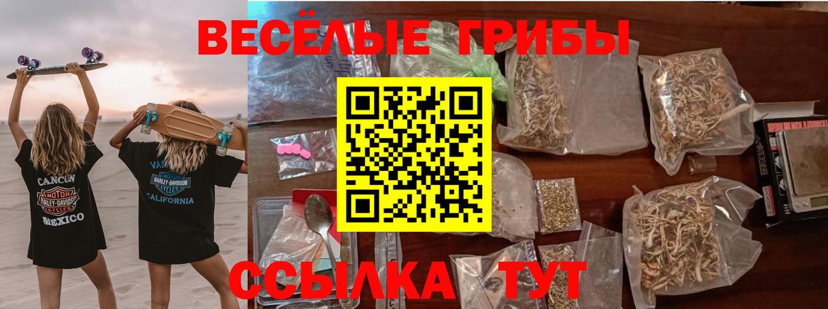 Белово  Галлюциногенные грибы Psilocybine cubensis  где можно купить наркотик  Псилоцибиновые грибы мицелий  Вход с VPN 